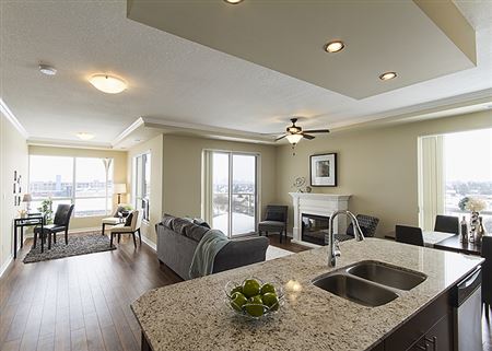 Vacant Home Staging Projects 