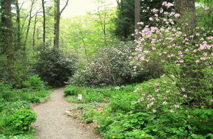 Rescheduled: Garden in the Woods on Tuesday at 10:30 AM - Wellesley