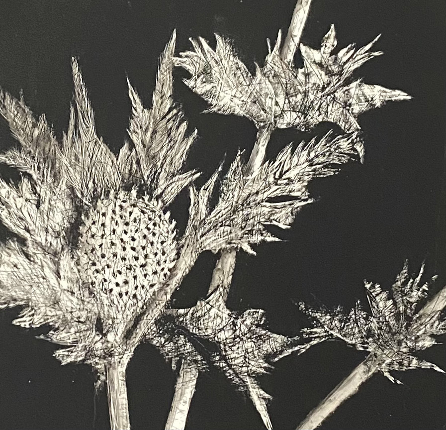 Sumi Ink on Clayboard Events Artists' Studio Association