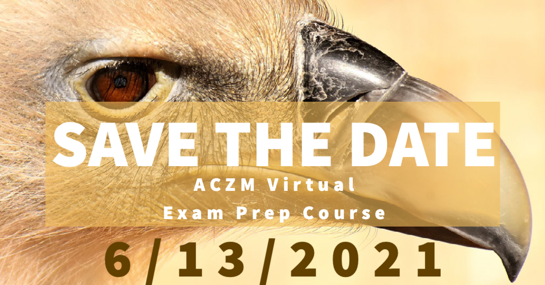 Save the date 2021 Exam prep course Avian