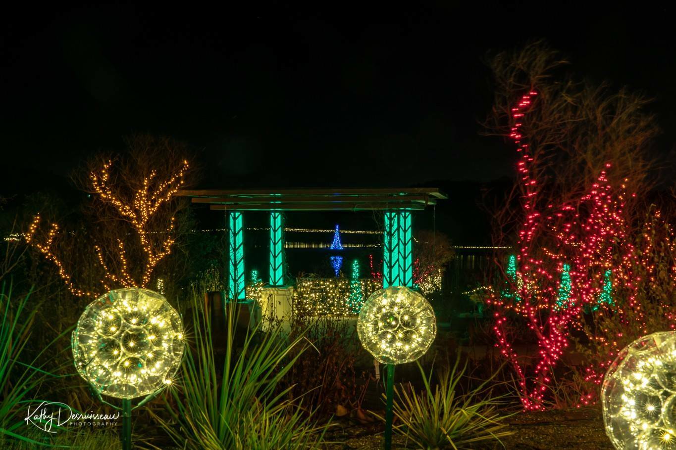 December Lights 2 Garden of Lights Events Photographers of Tulsa