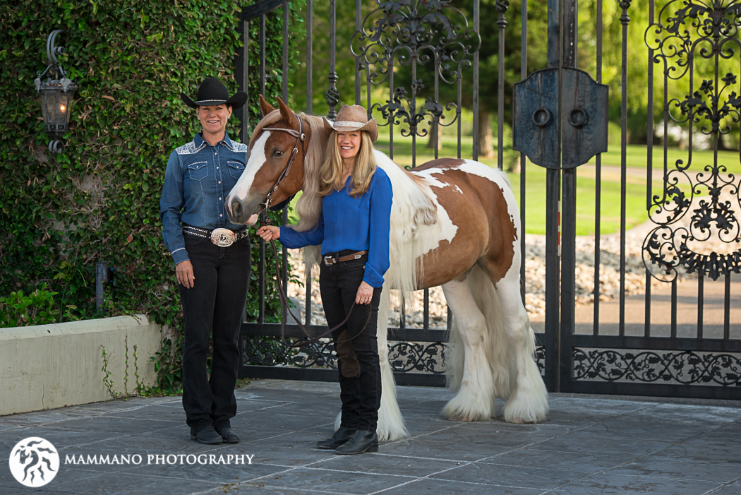 Sutton-Excalibur Elites Equine Entertainer 2018