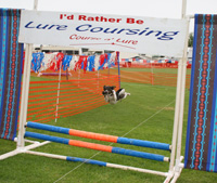 Obsticle Lure Coursing