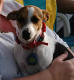Tilly, my second incounter