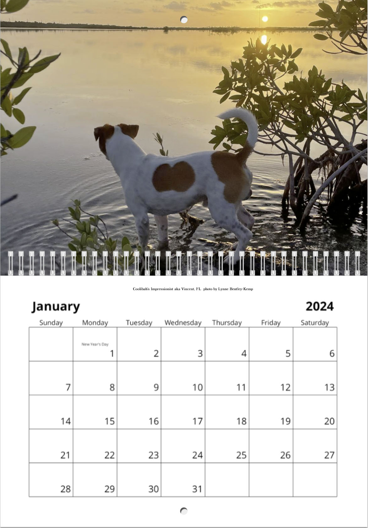 2024 DSFCA Calendar - Danish-Swedish Farmdog Club of America