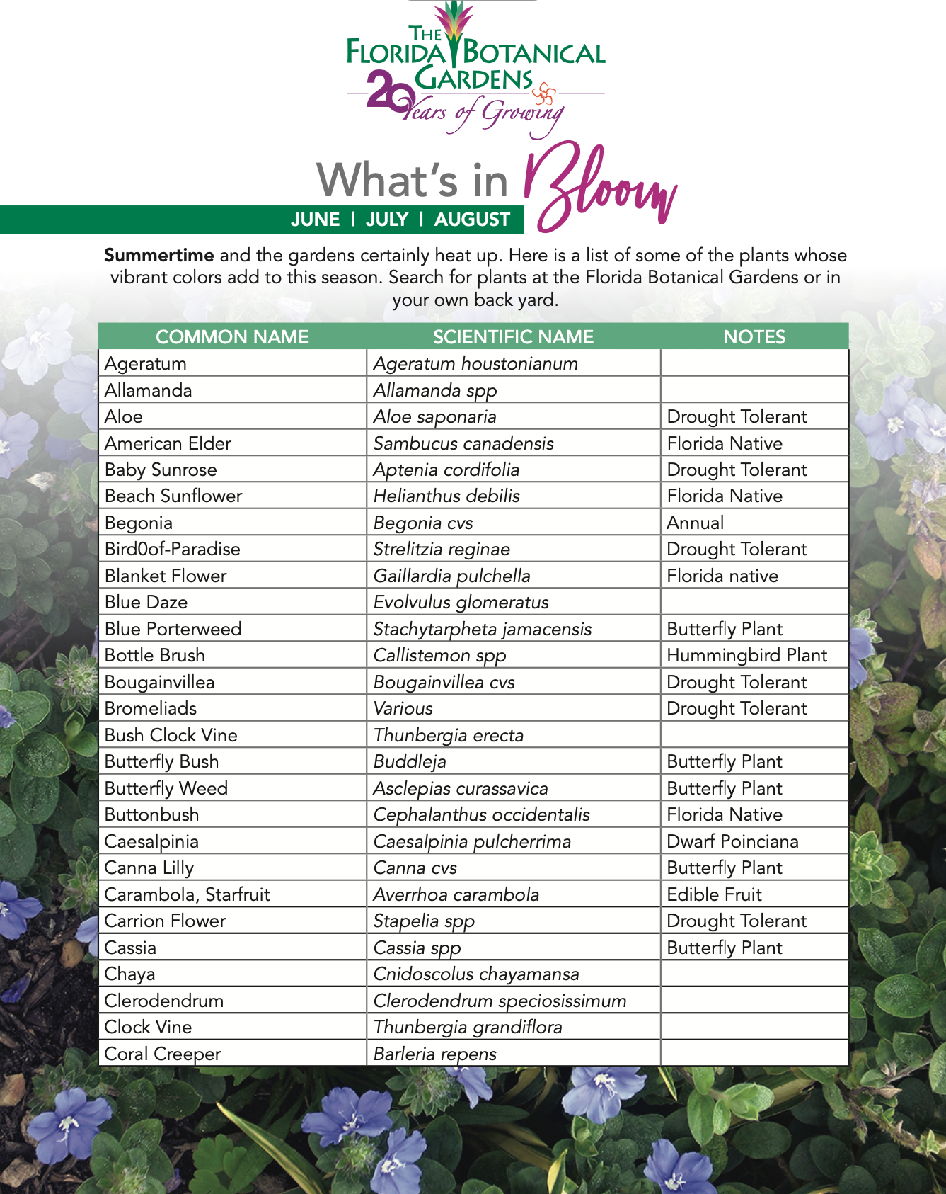 Blooming Gardens Florida Botanical Gardens Botanical Florida