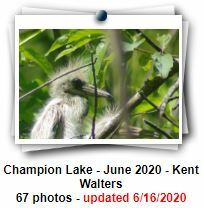 Champion Lake, by Kent Walters