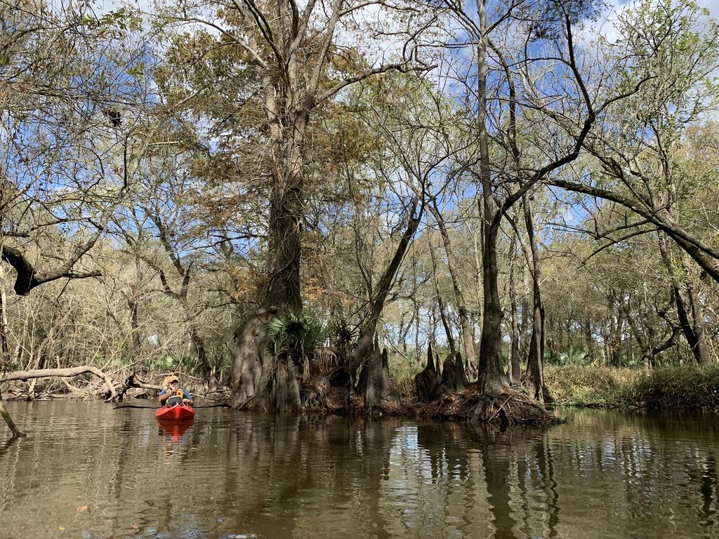San Bernard River Houston Canoe Club