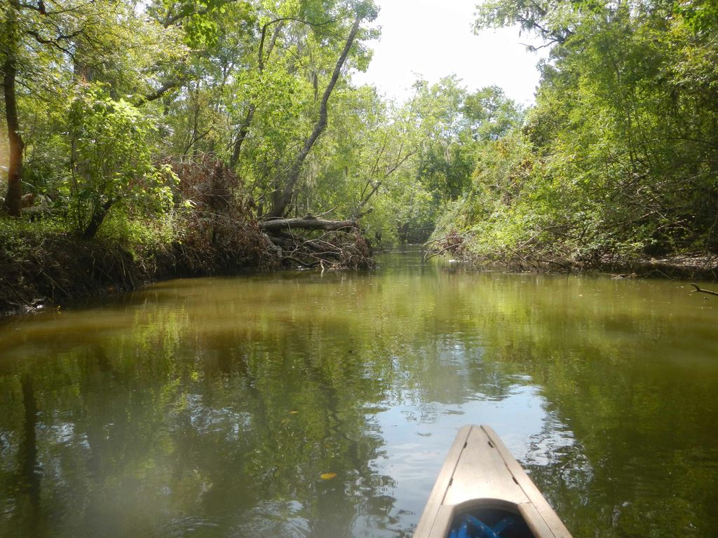 Nov 2023 Picketts Bayou Houston Canoe Club