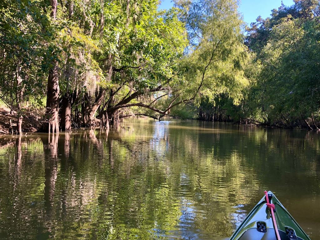 Nov 2022 Picketts Bayou Houston Canoe Club
