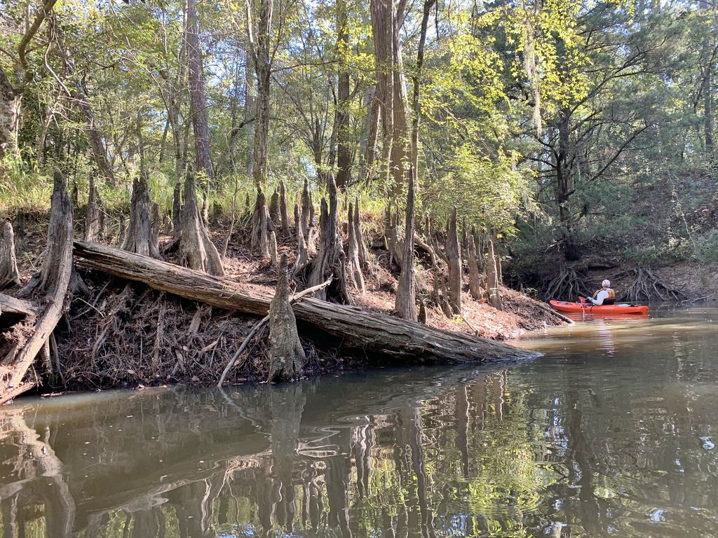 Turtle Bayou - Houston Canoe Club