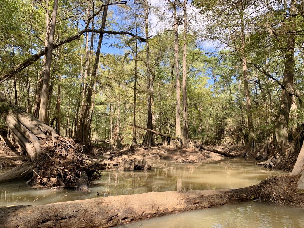 Turtle Bayou - Houston Canoe Club