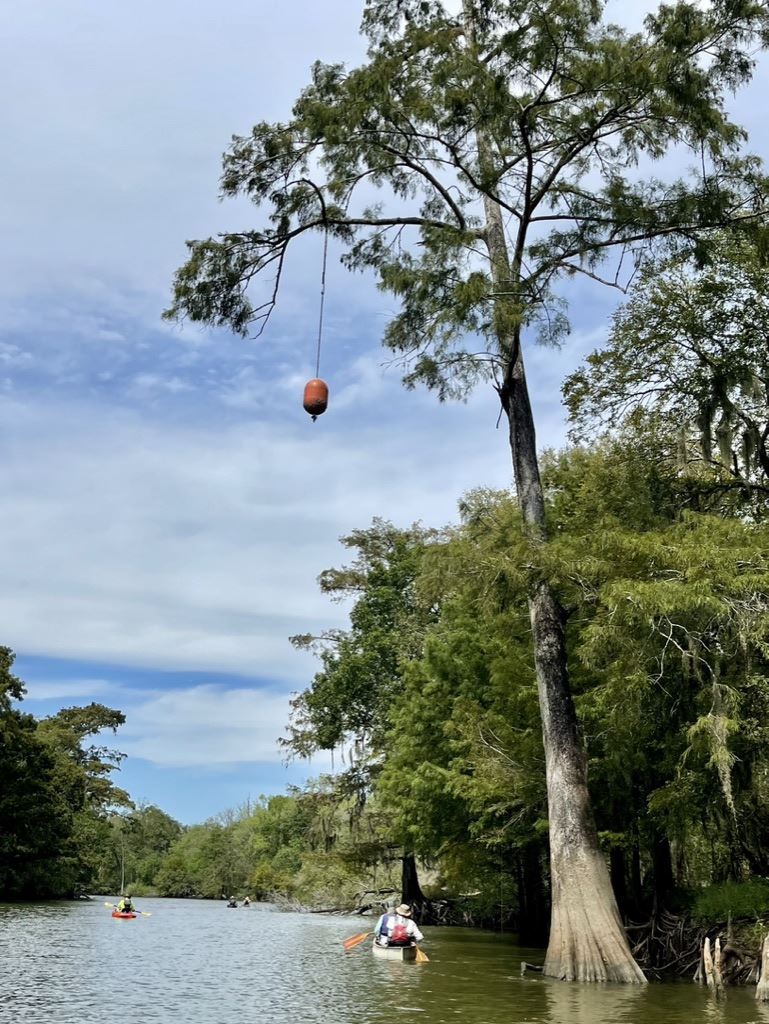 Nov 2023 Picketts Bayou Houston Canoe Club