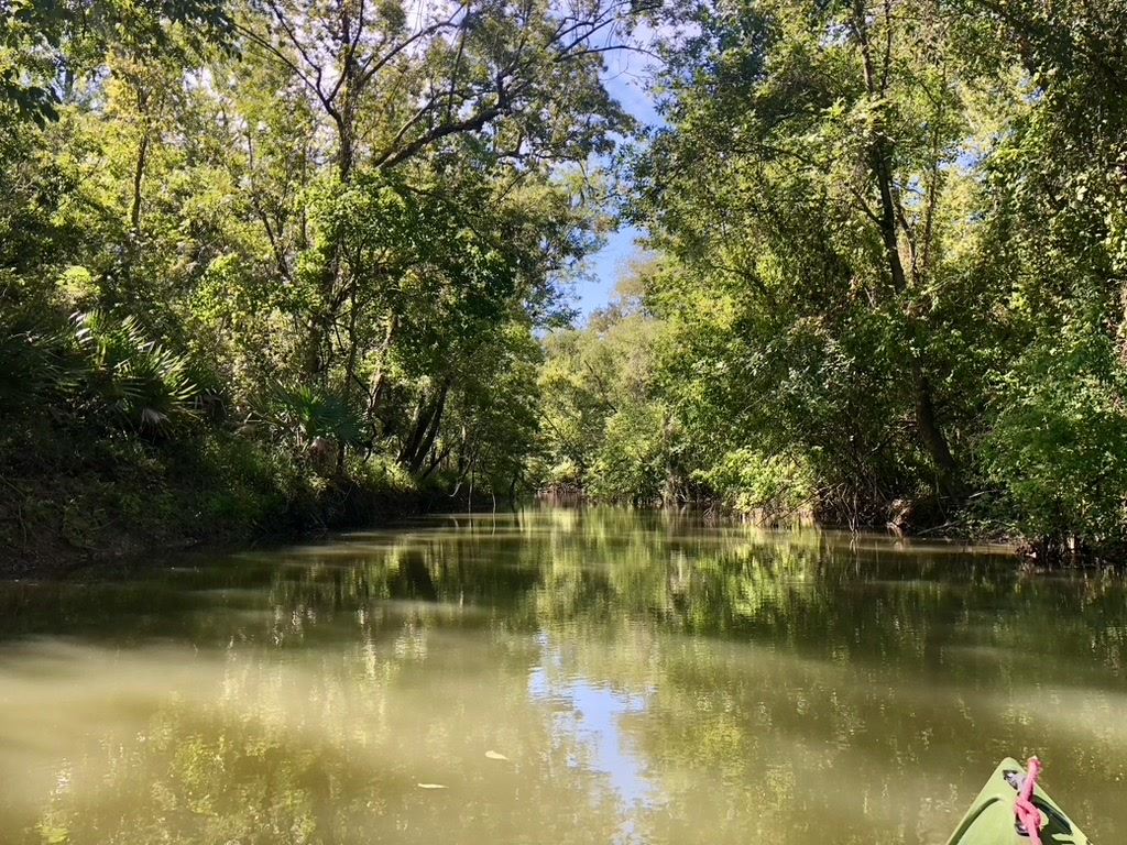 Nov 2022 Picketts Bayou Houston Canoe Club