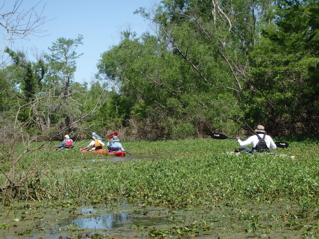 May 2023 Champion Lake Houston Canoe Club