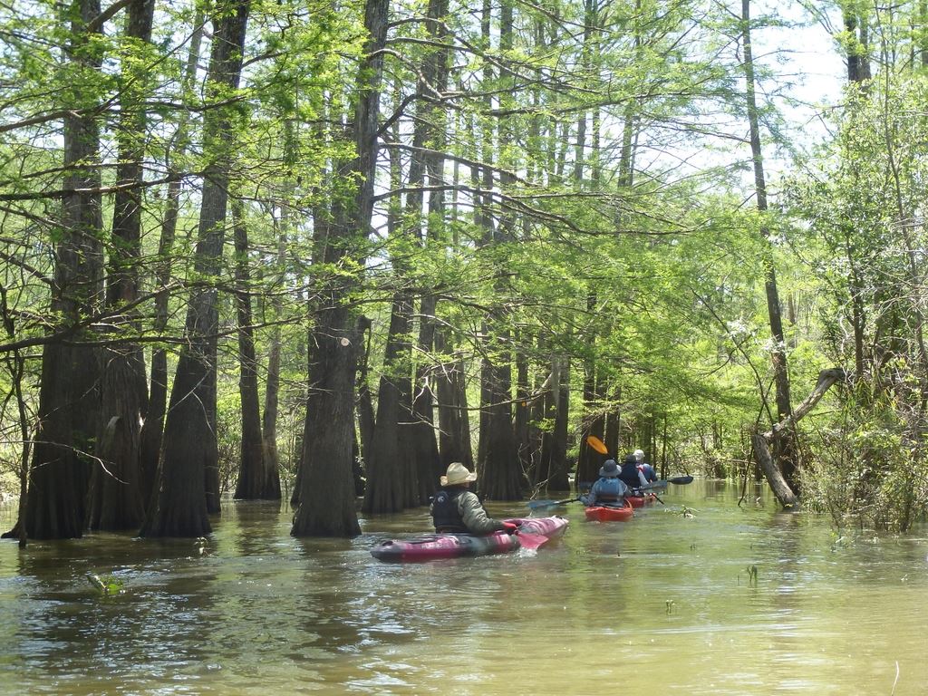 May 2023 Champion Lake Houston Canoe Club