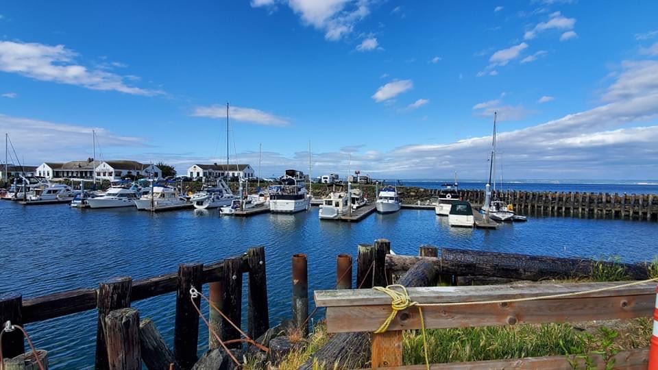 Home Kingston Cove Yacht Club