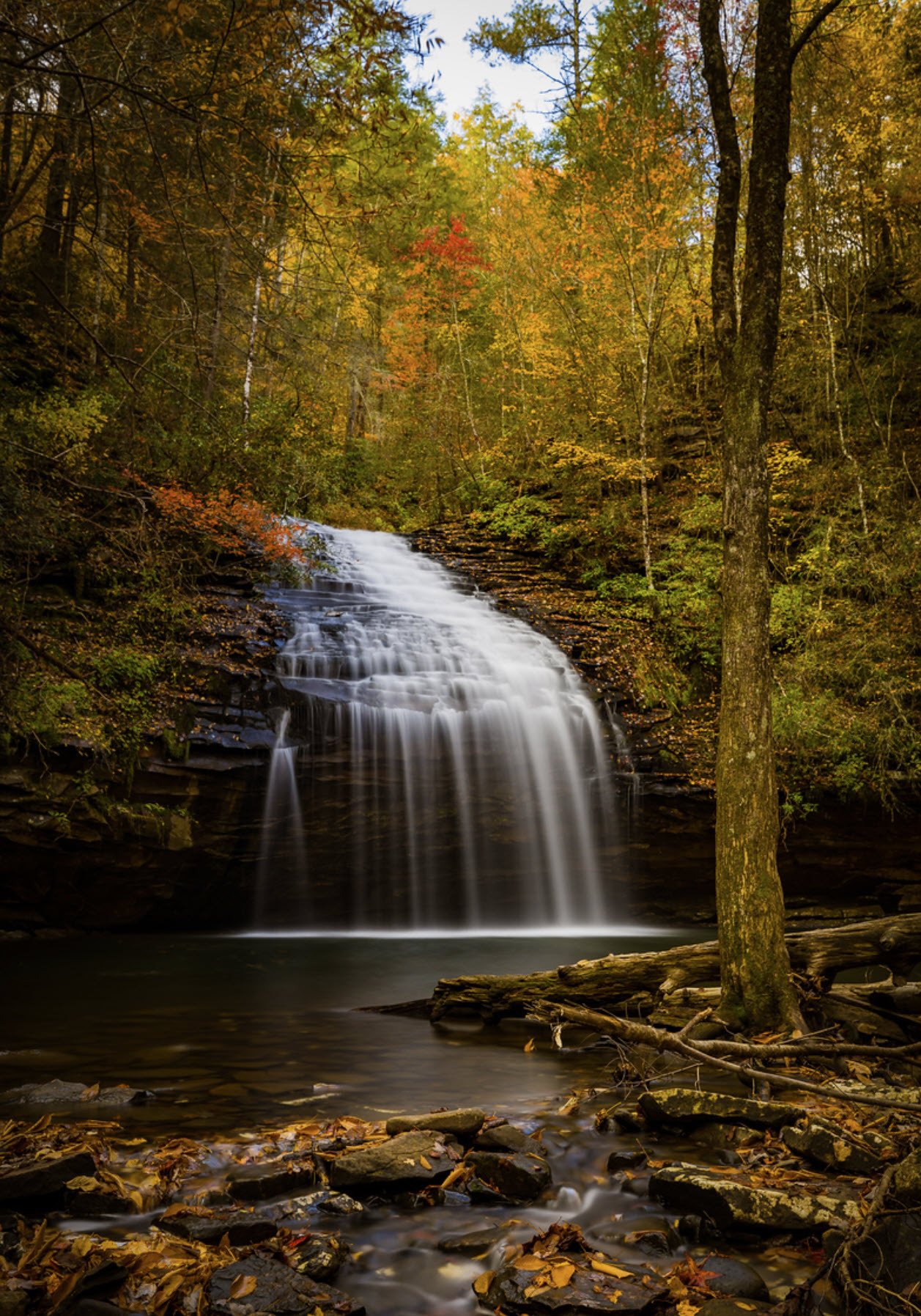 2022 Year End Competition Events Memphis Camera Club