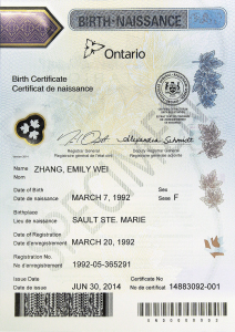 Birth Certificate from Another Country