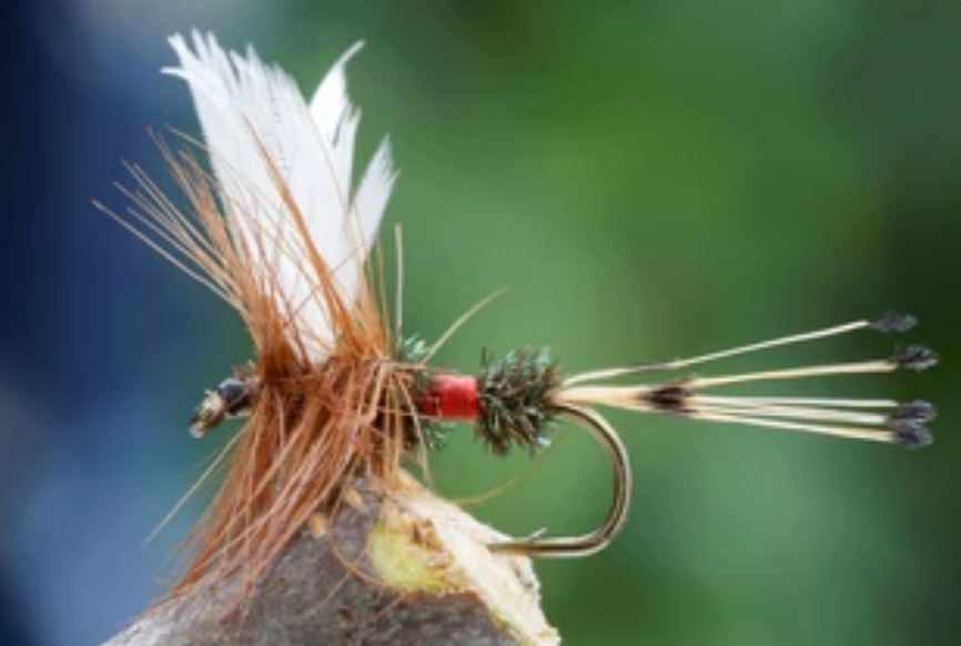 Intermediate Fly Tying Class
