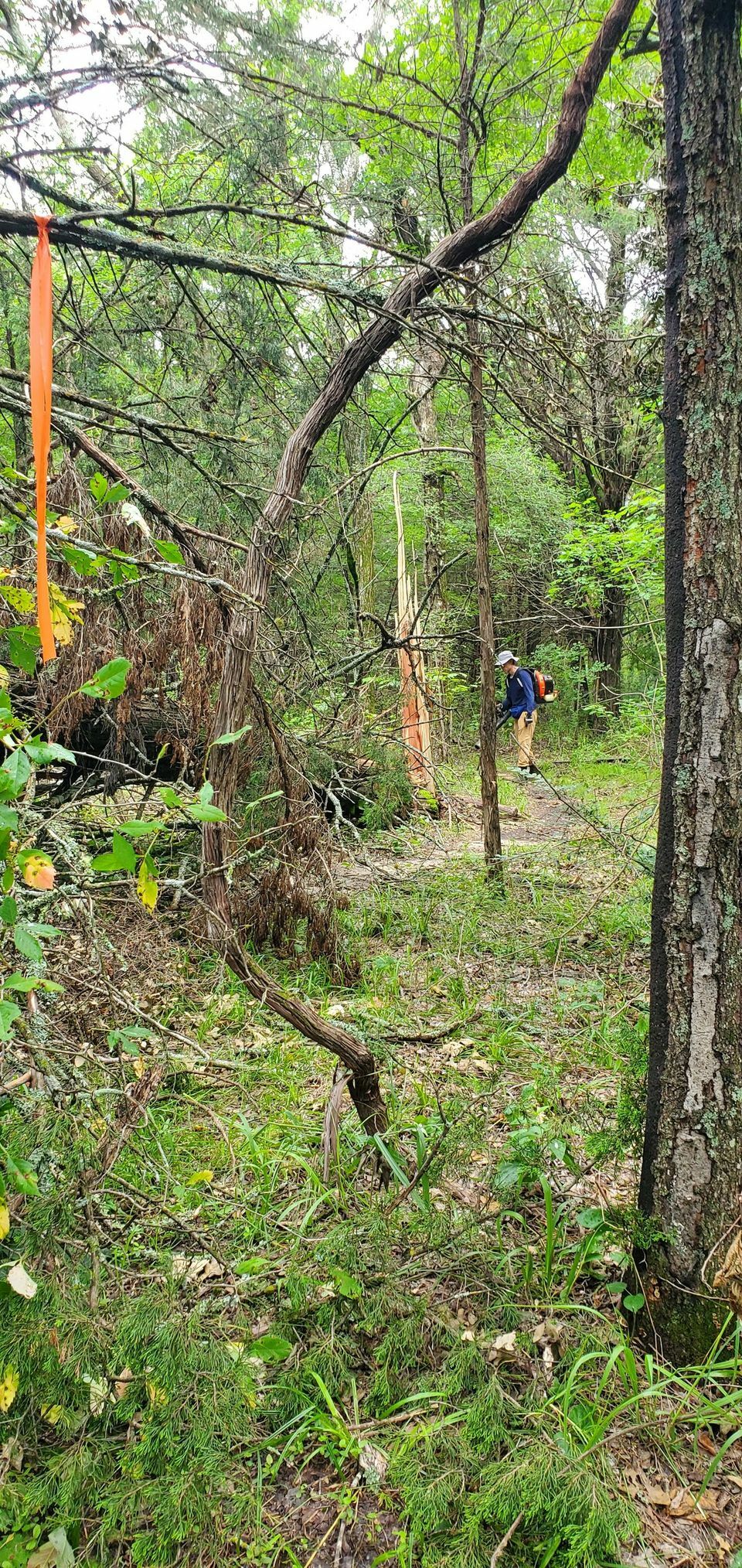 Johnson Branch Workday Events Dallas Off Road Bicycle Association Johnson branch workday events dallas off road bicycle association