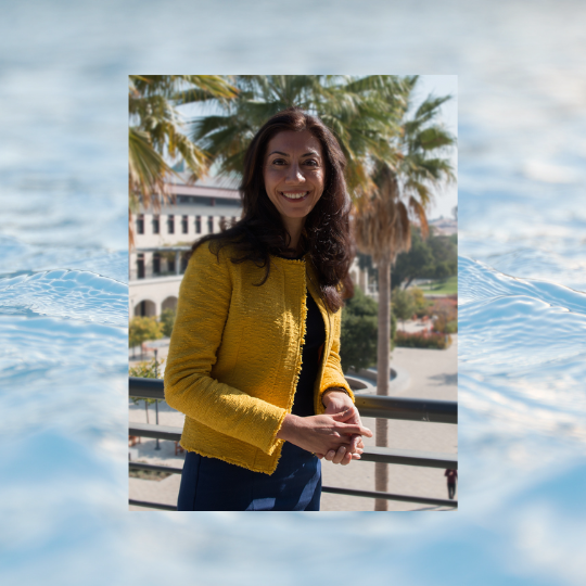 Newsha Ajami water bkgd