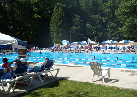 Home Highland Swimming Club