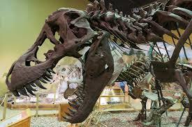 ThermopolisDinosaur