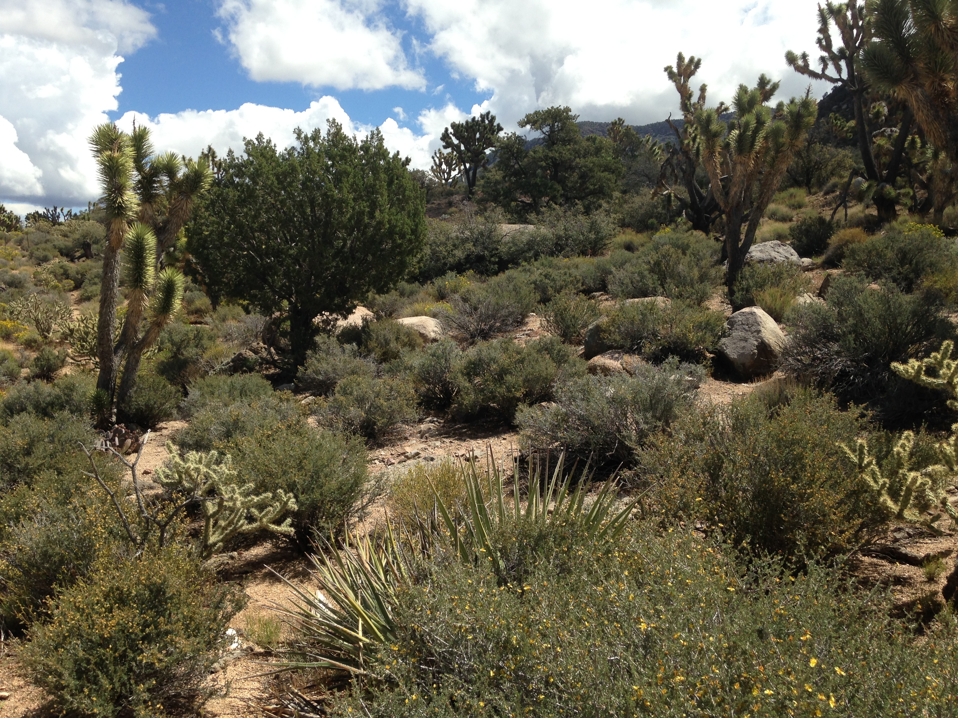 diverse climate zone