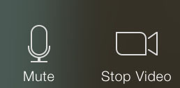ZoomMobile AV controls