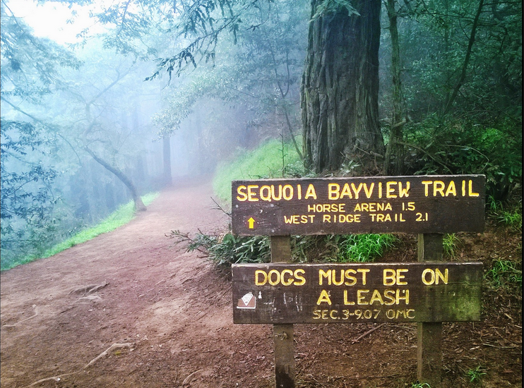 sequoia bayview trail