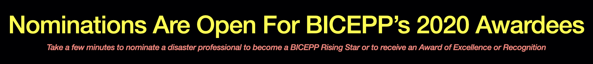 BICEPP Awardees.001.jpeg
