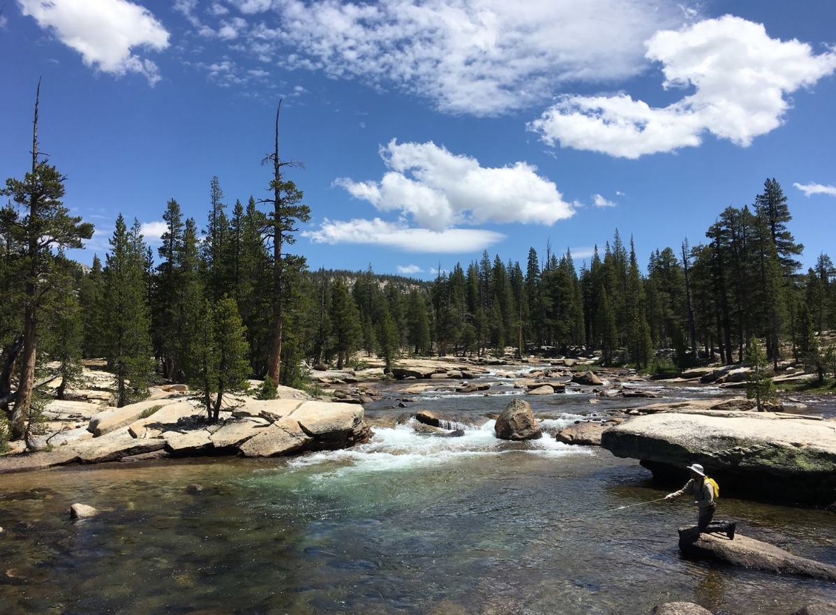 Fly Fishing Yosemite - 1