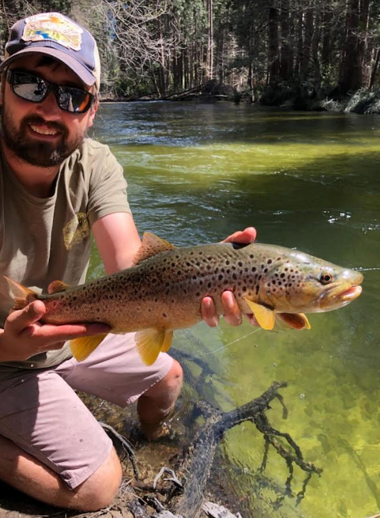 Yosemite Trout 1