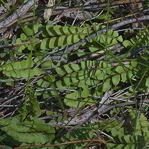 © Michal Dutkiewicz