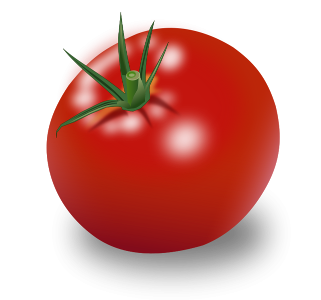 The Tomato is Always Sweeter over the Septic Tank Florida Water and Pollution Control