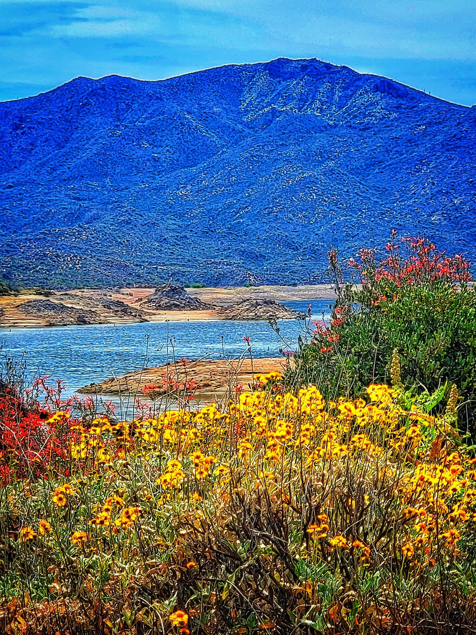 HIKE THE PALO VERDE TRAIL BARTLETT LAKE Events Scottsdale Sea and Ski Club