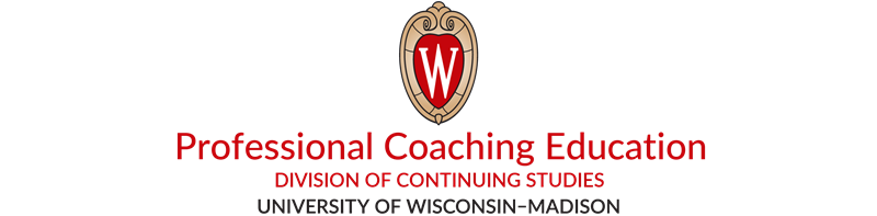 University of WI Madison logo 2025 800pix