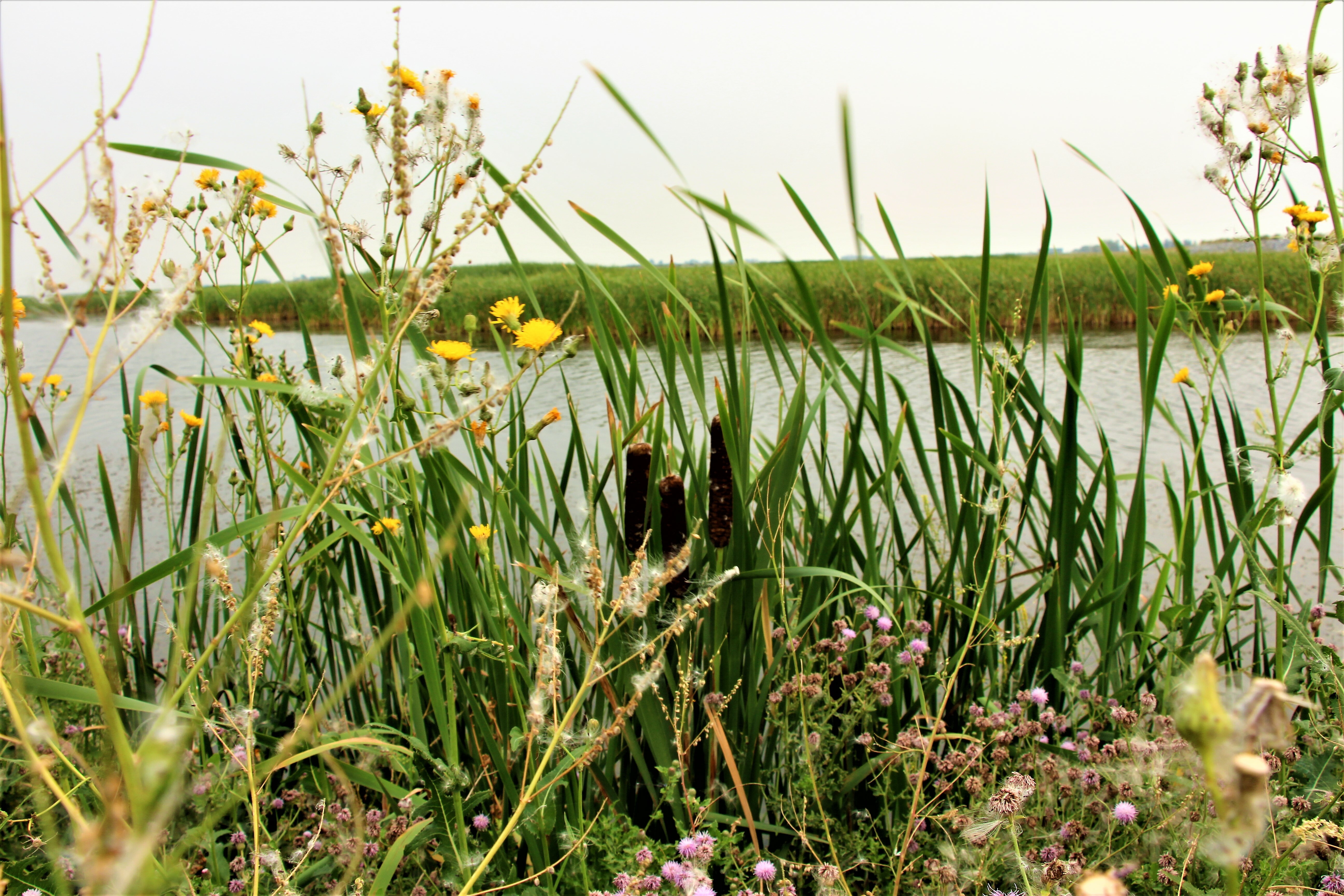 Bow Bottom to Ralph Klein Park Cycle