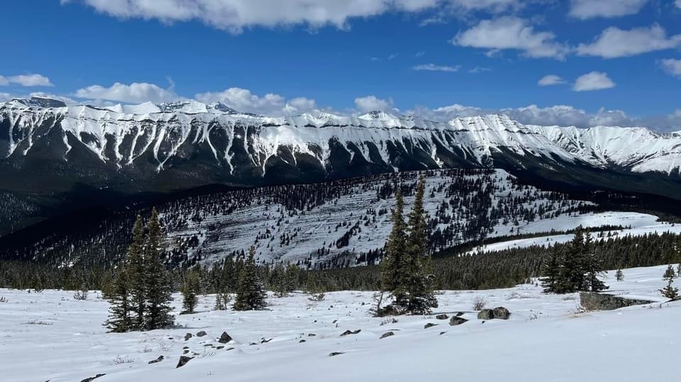 Powderface Ridge via Powderface Creek Hike Postponed Events