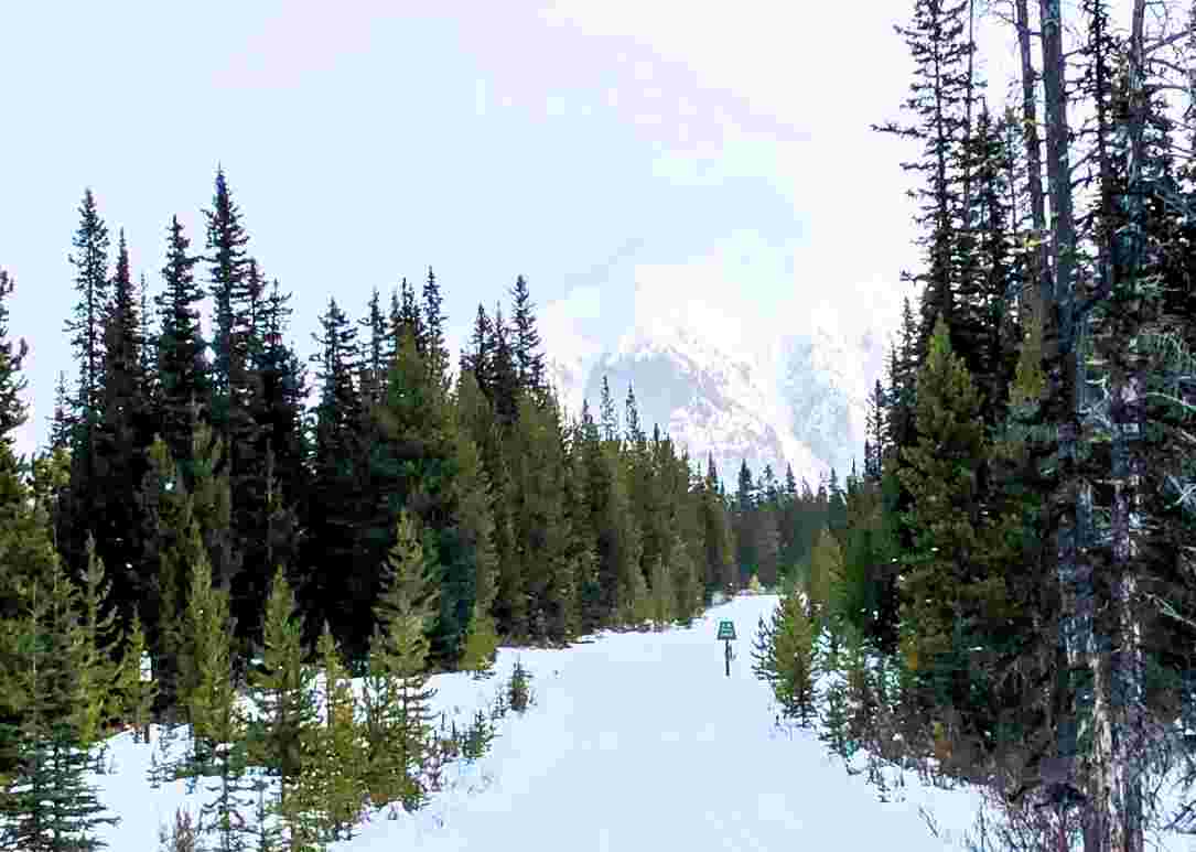 Mount Shark Skate and Classic Skiing Events Calgary Ski Club