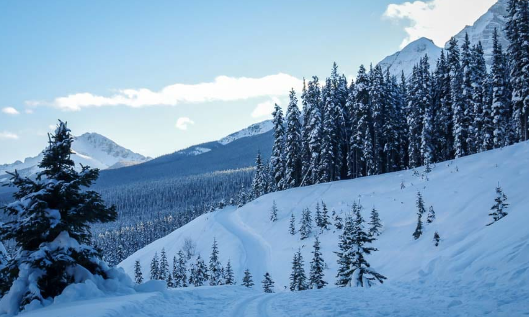 Cross Country Skiing the Tramline at Lake Louise Events Calgary Ski