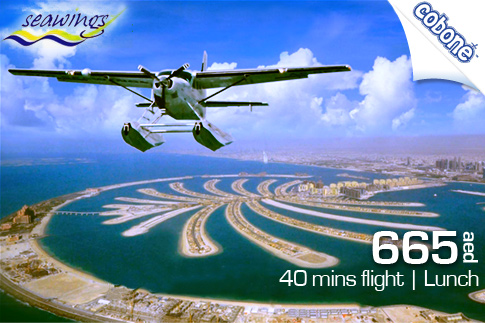 50% off Seaplane tour with Lunch 
