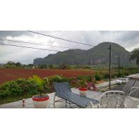 vista de la terraza de los altos