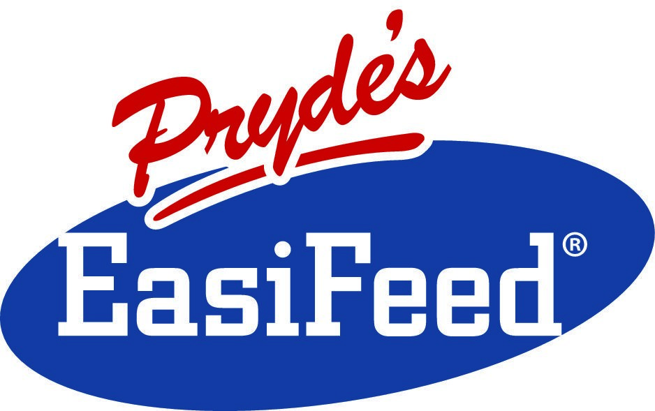 Sponsor