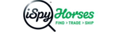 Sponsor