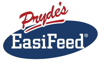 Sponsor