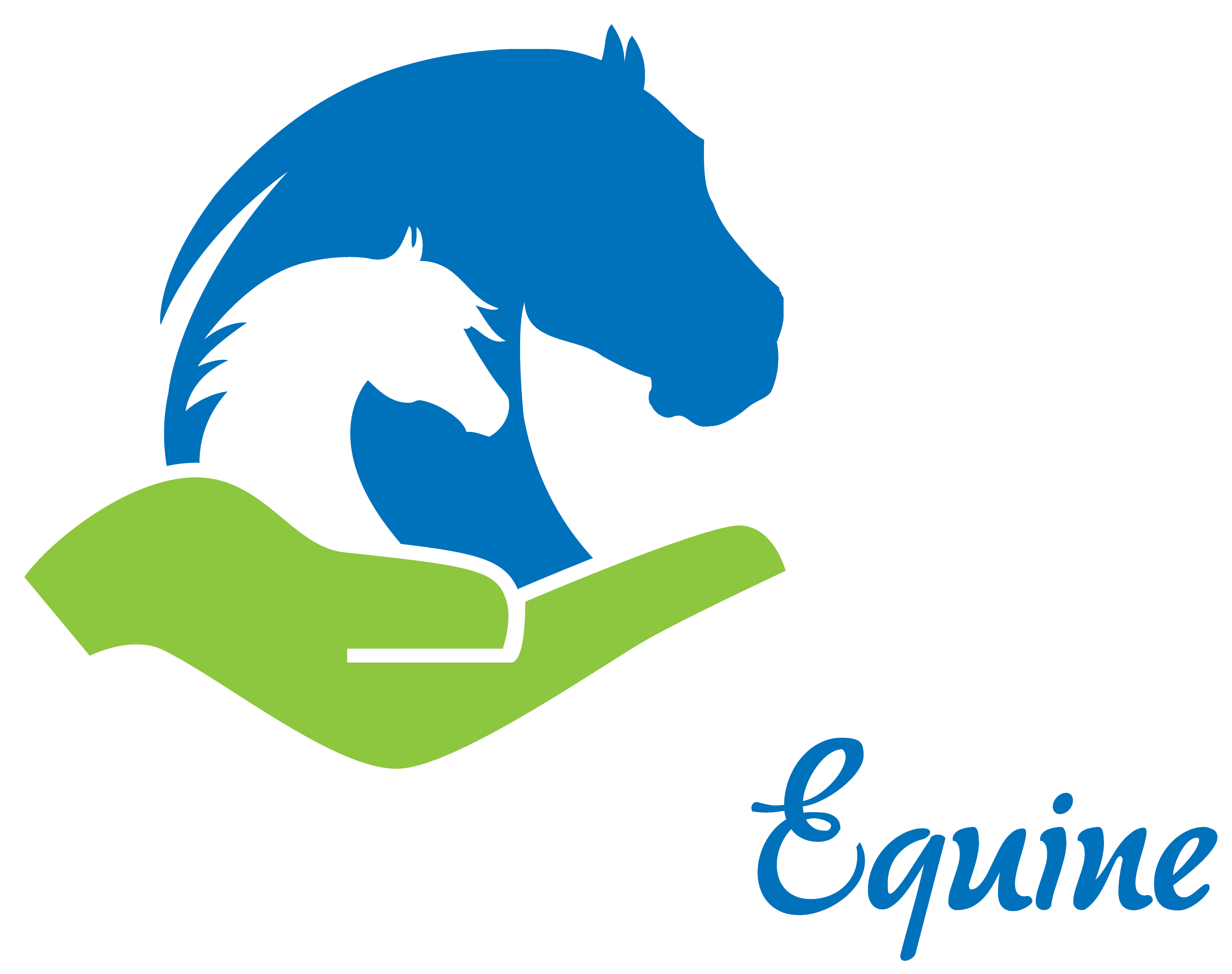 Sponsor
