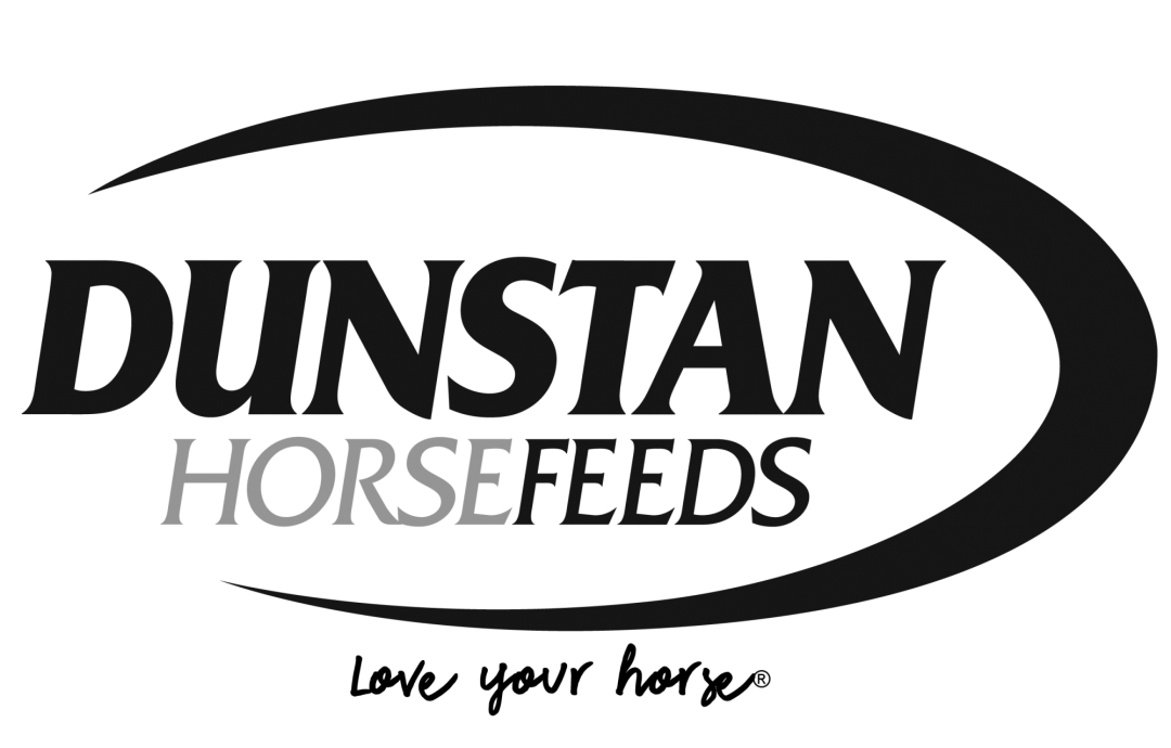 Sponsor