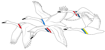 Scandinavian Cultural Centre